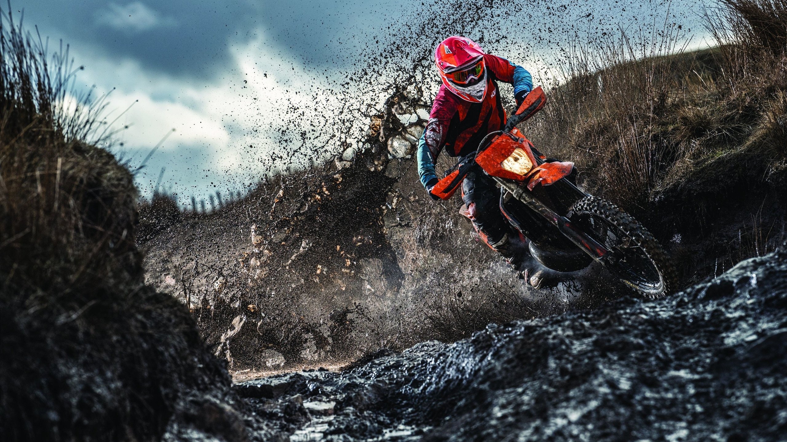 _红土季节：泥泞中的坚韧与荣耀_，红泥土里的是什么石头